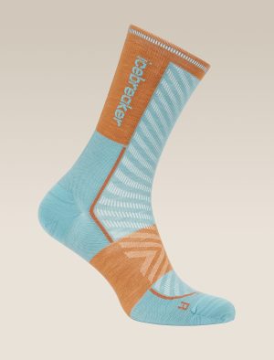 Men's Merino Blend Run+ Ultralight Crew Socks