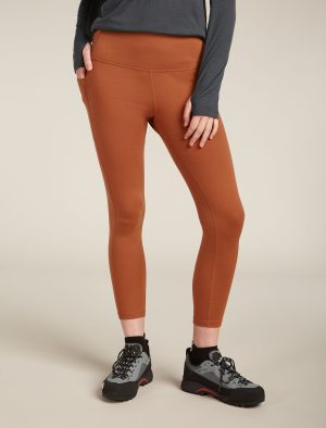 Women's Merino 260 Fastray 25" High Rise Tights